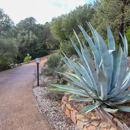 San Vittore فندق Sole Ruiu